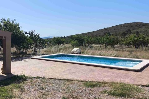 Landejendom i Caudete, Albacete, Caudete - € 165.000 | Ref: SF0576 - foto 24